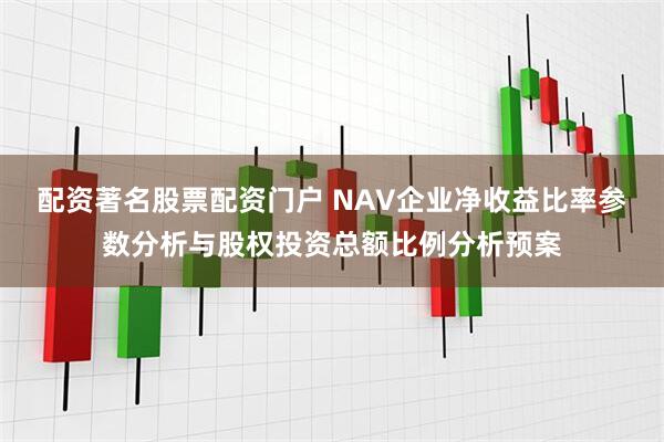 配资著名股票配资门户 NAV企业净收益比率参数分析与股权投资总额比例分析预案