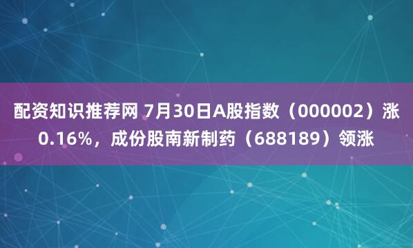 配资知识推荐网 7月30日A股指数（000002）涨0.16%，成份股南新制药（688189）领涨